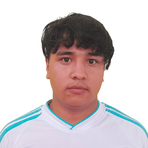Player Image